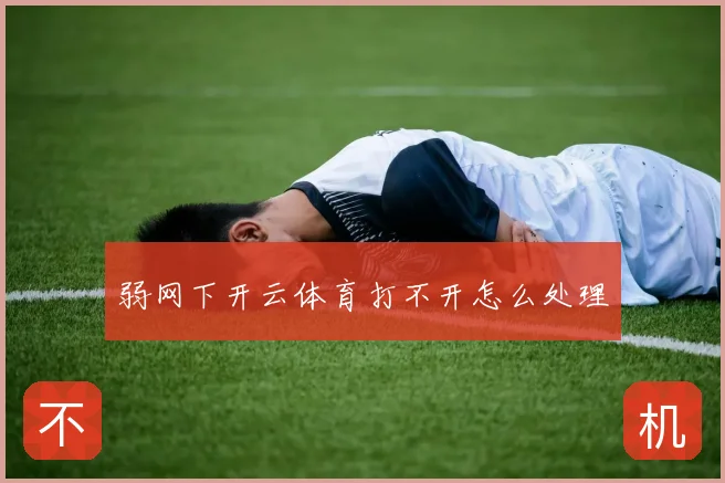 弱网下开云体育打不开怎么处理