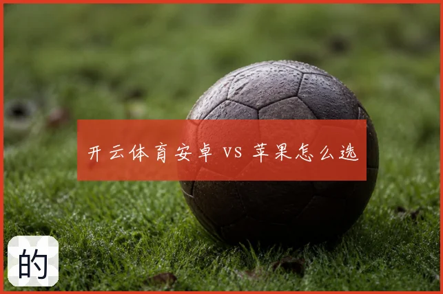开云体育安卓 vs 苹果怎么选
